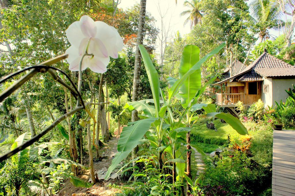 Prashanti Bali Ubud Exterior foto